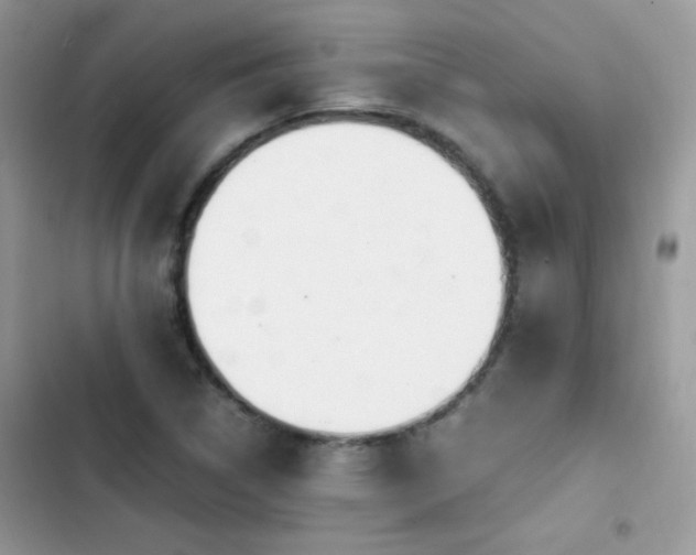 X0000103941314200809191408
