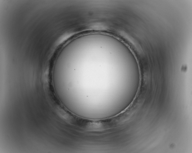 X0000103941315200809191408