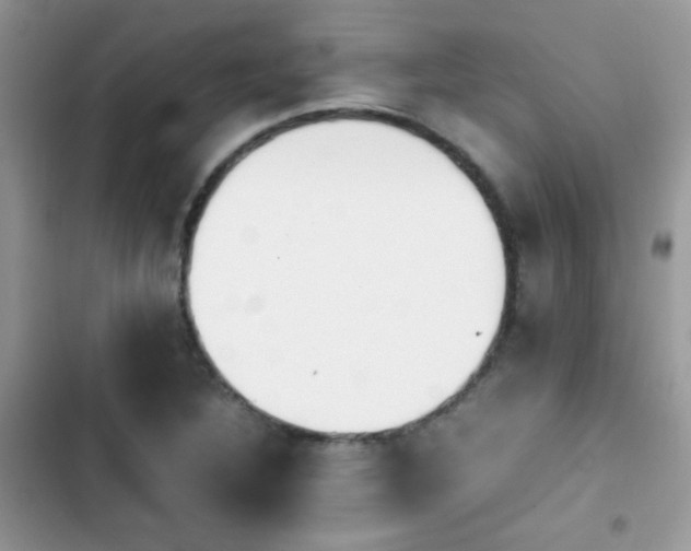 X0000103941316200809191408