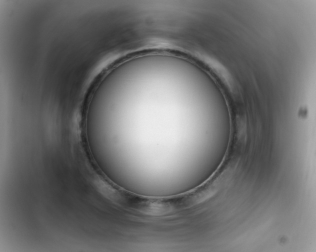X0000103941318200809191408