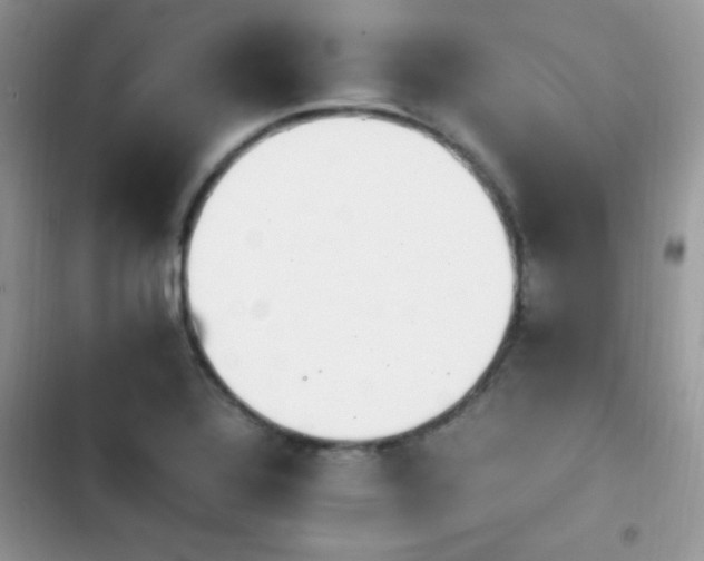 X0000103941320200809191408