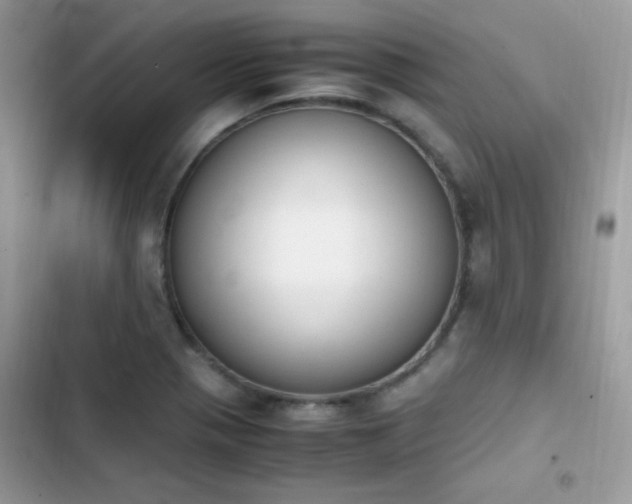 X0000103941321200809191408