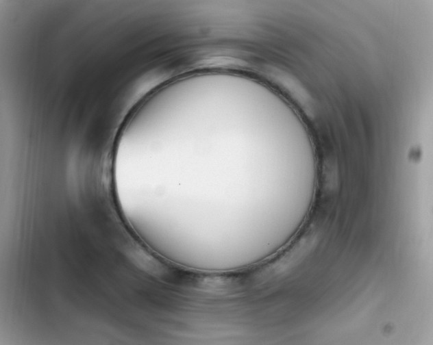 X0000103941322200809191408