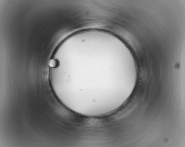 X0000103941324200809191408