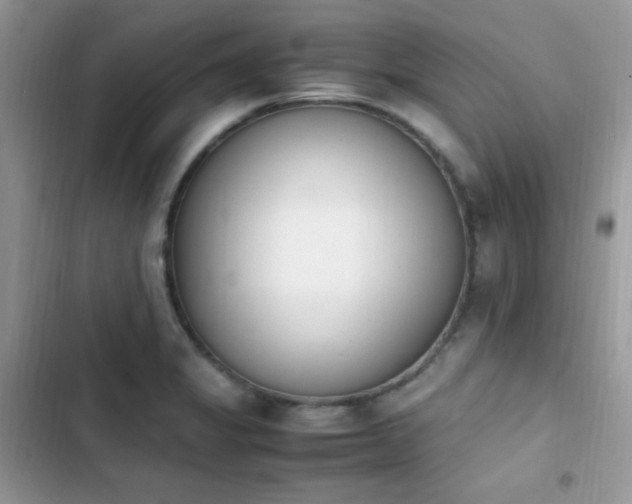 X0000103941325200809191408