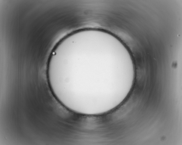 X0000103941326200809191408