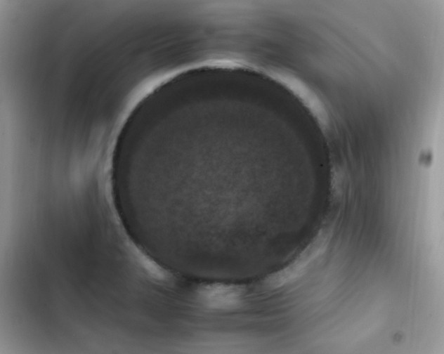 X0000103941327200809191408