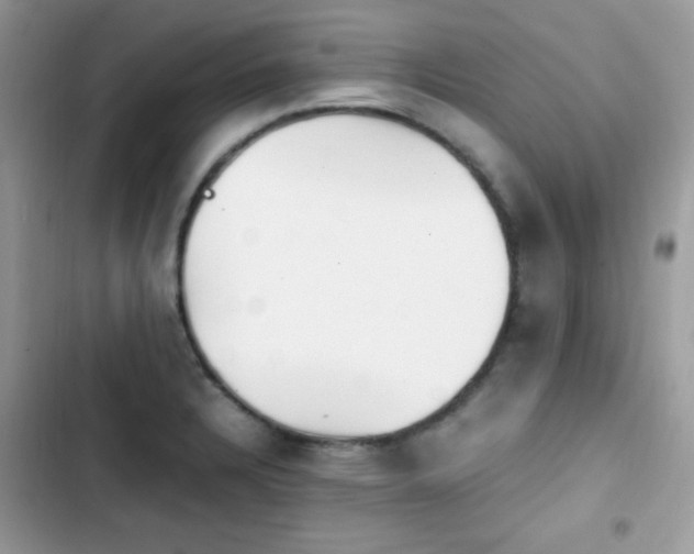 X0000103941328200809191408