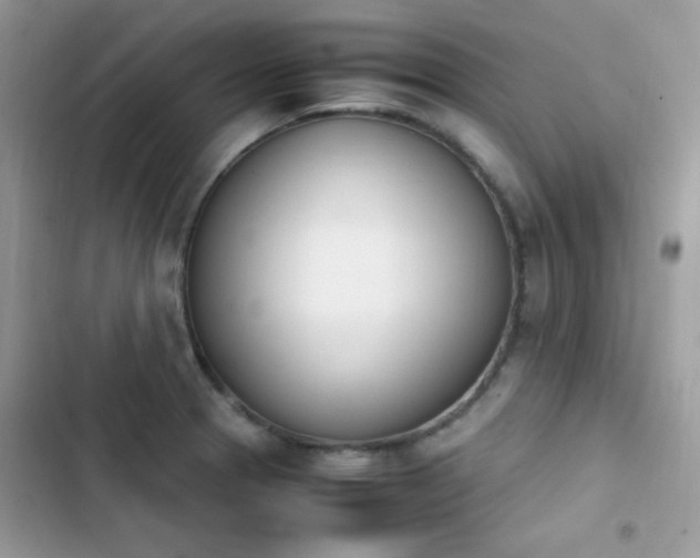 X0000103941329200809191408