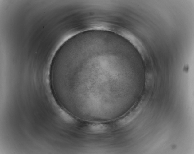 X0000103941331200809191408