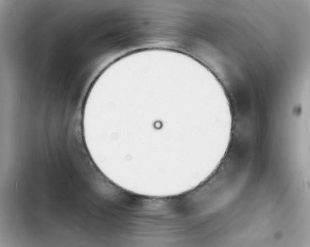 X0000103941332200809191408
