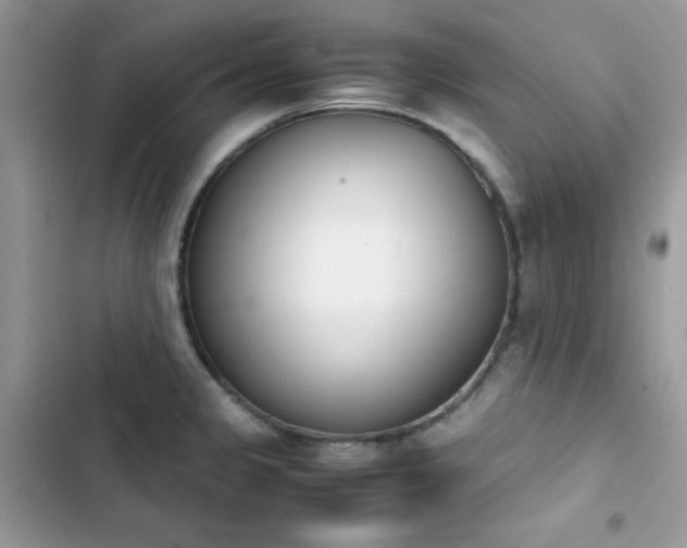 X0000103941333200809191408