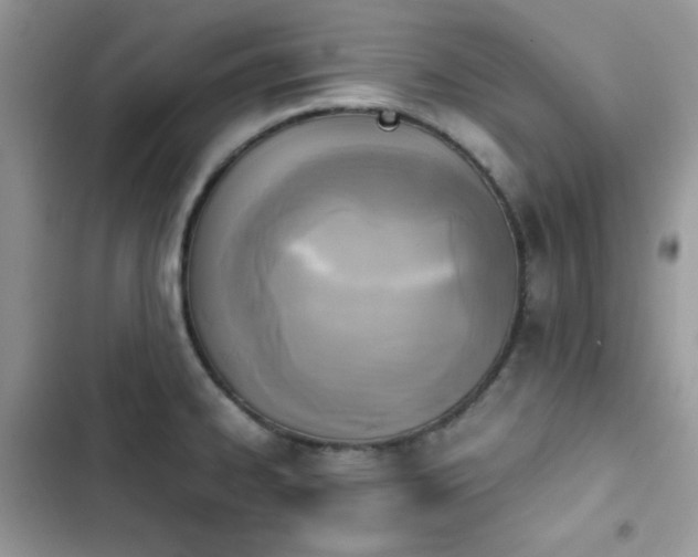 X0000103941334200809191408