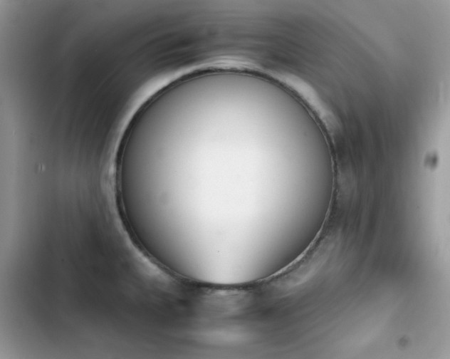 X0000103941335200809191408