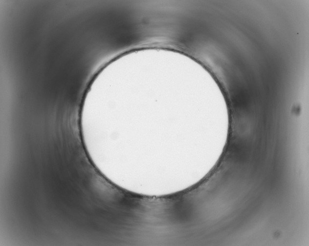 X0000103941336200809191408