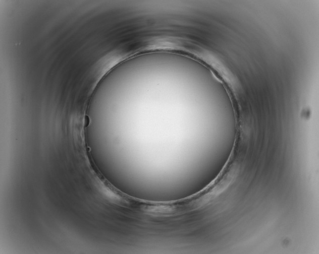 X0000103941337200809191408