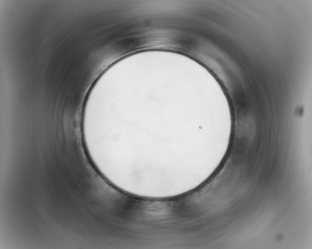 X0000103941338200809191408
