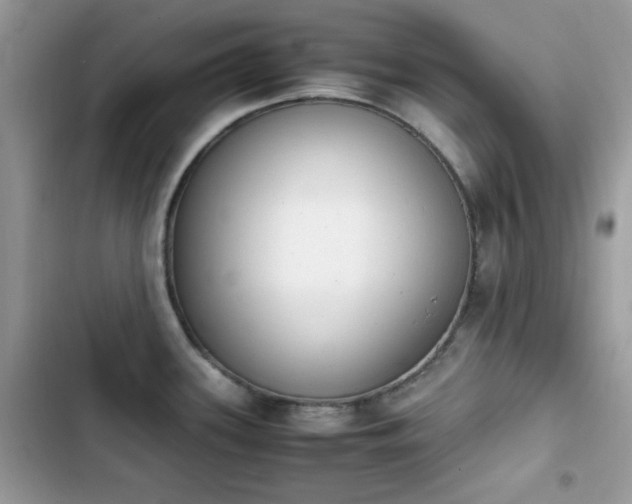 X0000103941339200809191408