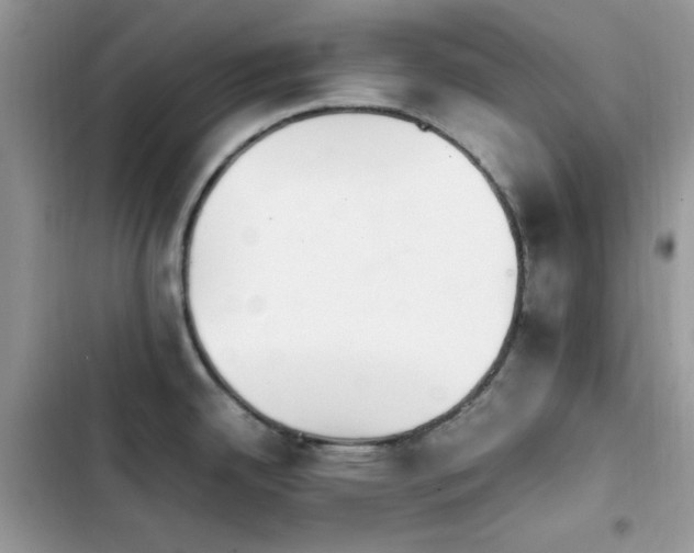 X0000103941342200809191408