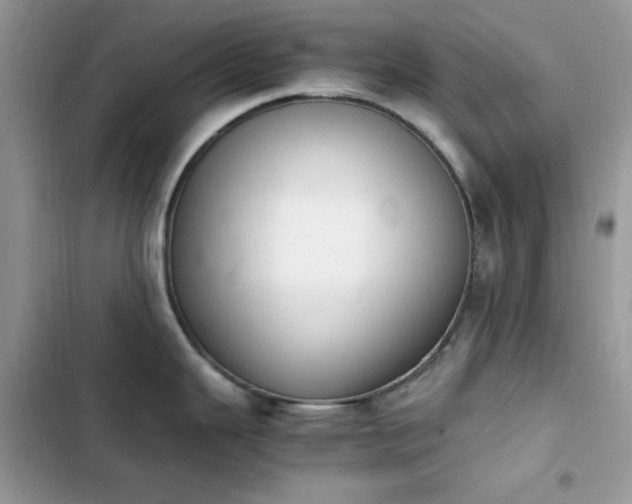 X0000103941343200809191408