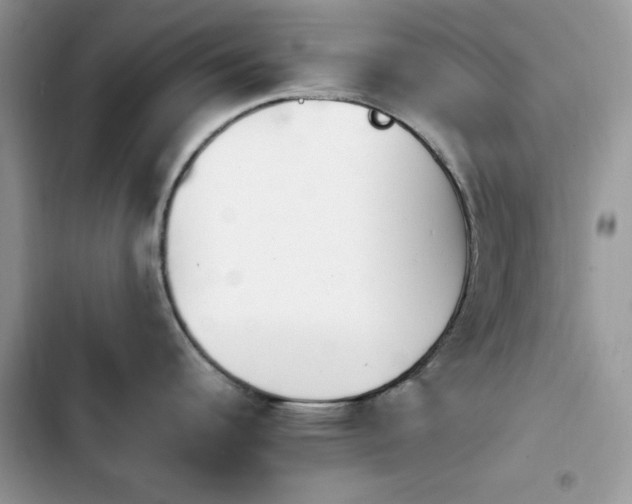 X0000103941344200809191408