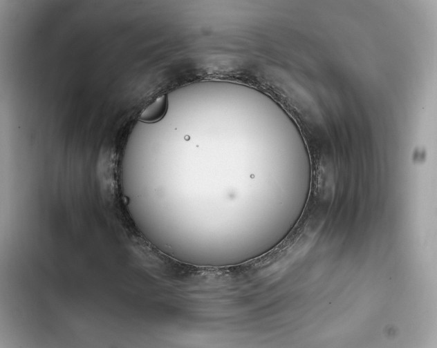 X0000103941346200809191407