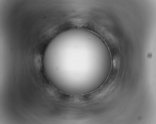 X0000103941347200809191407