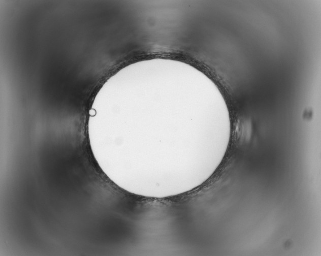 X0000103941348200809191407