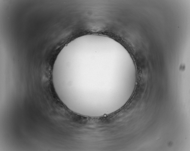 X0000103941349200809191407