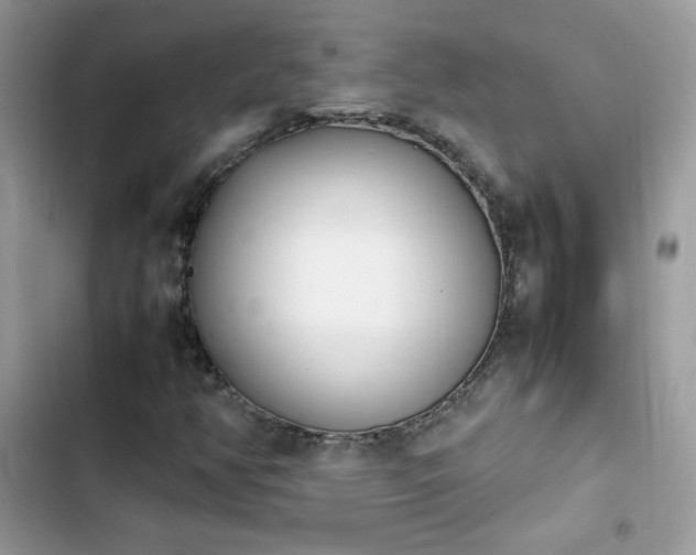 X0000103941350200809191407