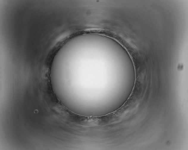 X0000103941351200809191407