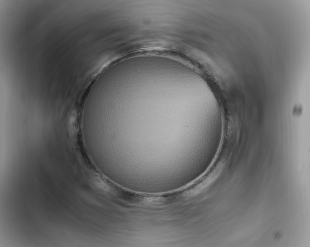 X0000103941353200809191407