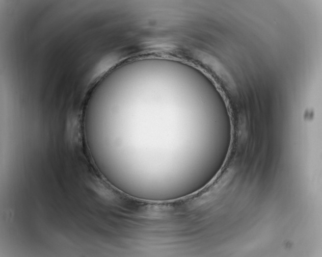 X0000103941354200809191407