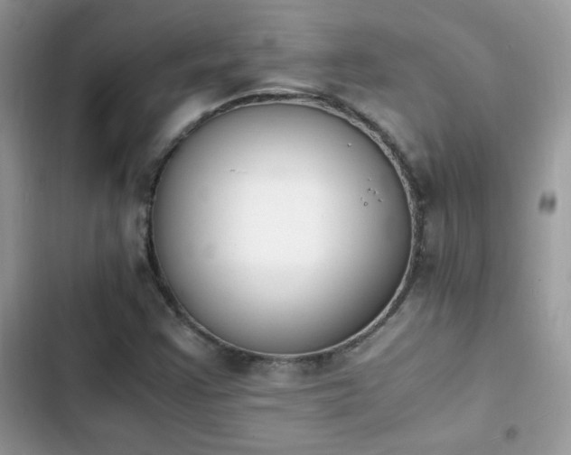 X0000103941355200809191407