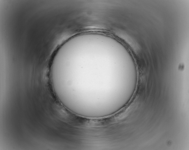 X0000103941357200809191407