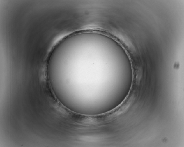 X0000103941358200809191407