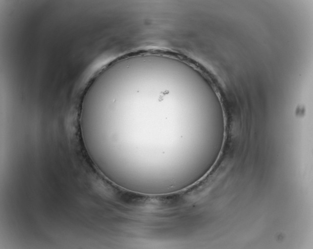 X0000103941359200809191407