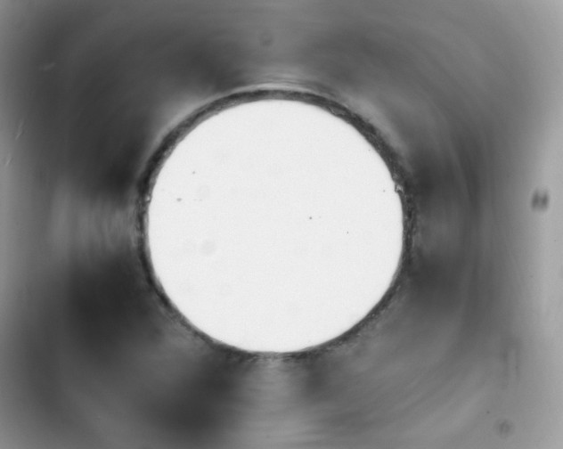 X0000103941360200809191407