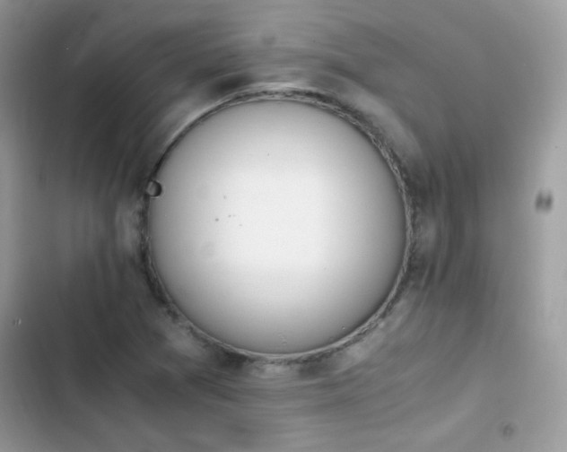 X0000103941361200809191407