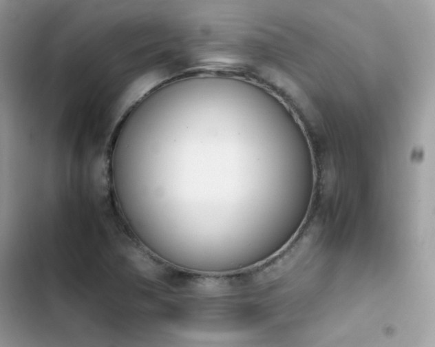 X0000103941362200809191407