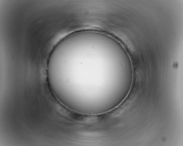 X0000103941363200809191407