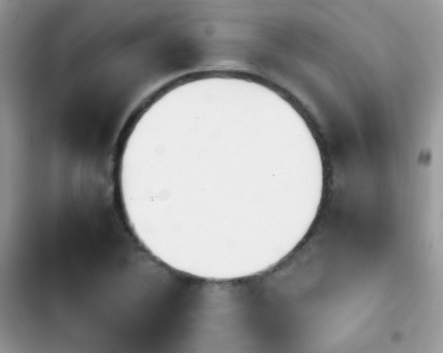 X0000103941364200809191407