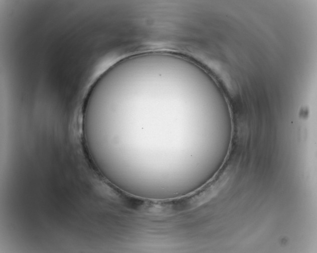 X0000103941365200809191407