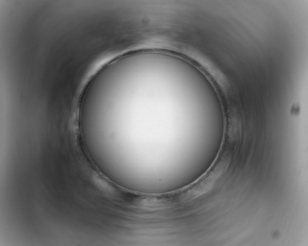 X0000103941366200809191407