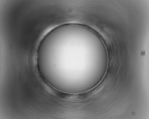 X0000103941367200809191407