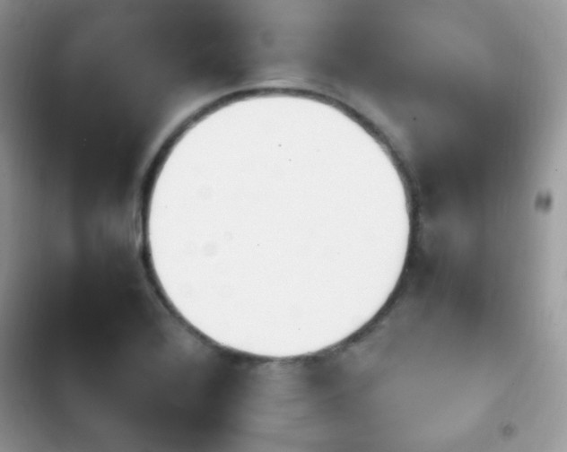 X0000103941368200809191407