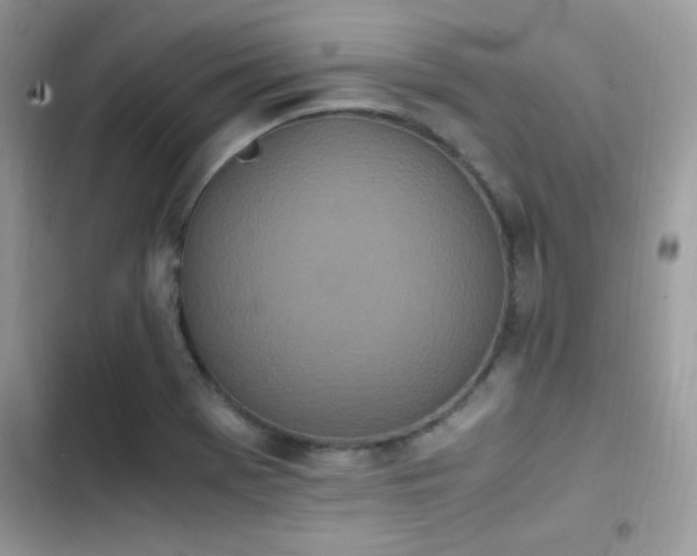 X0000103941369200809191407