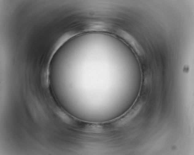 X0000103941370200809191407