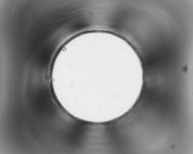 X0000103941372200809191407