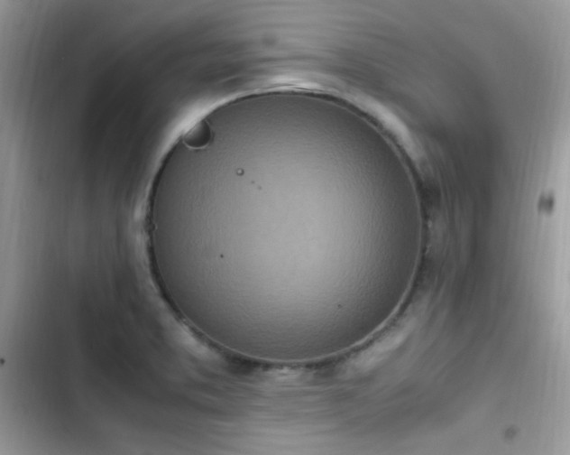 X0000103941373200809191407